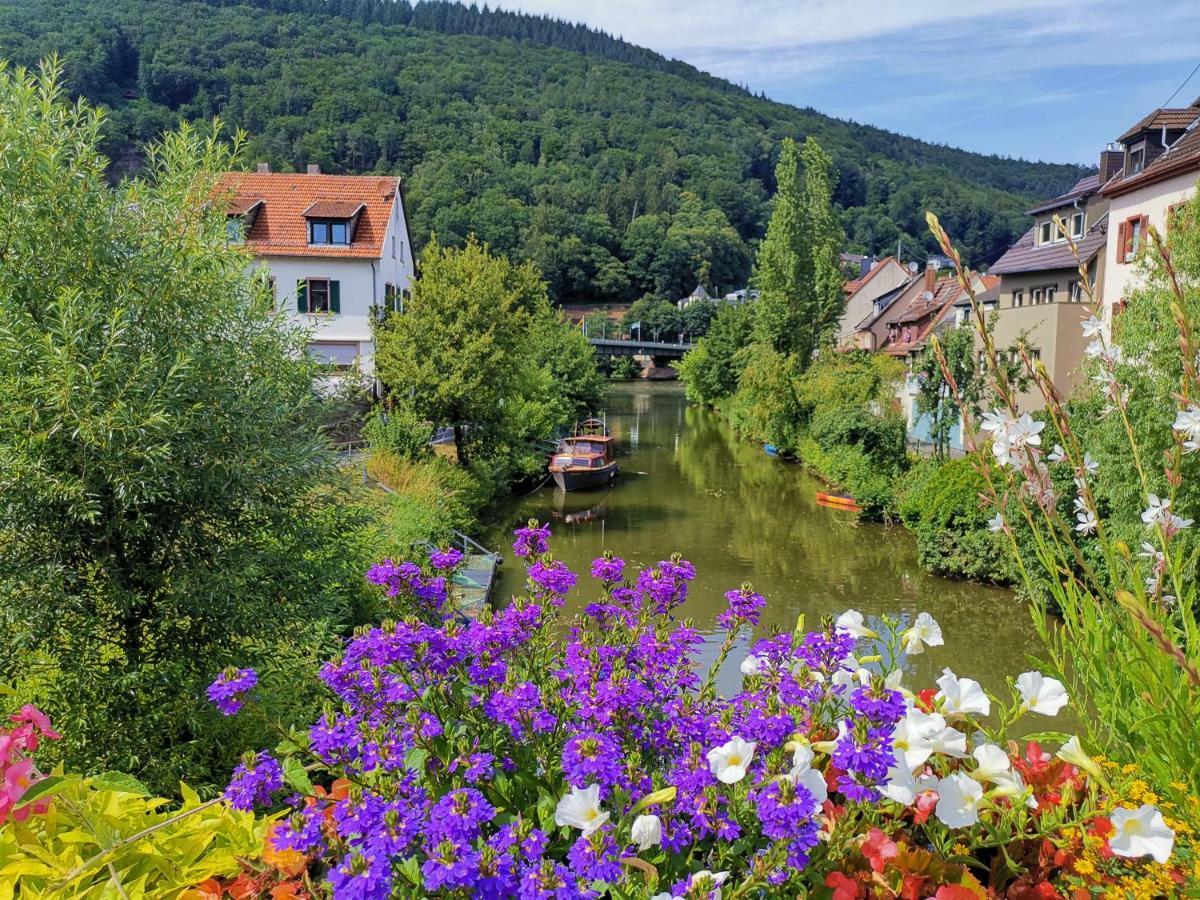 Ferienwohnungen Flussufer - Neckargemuend Altstadt Екстериор снимка