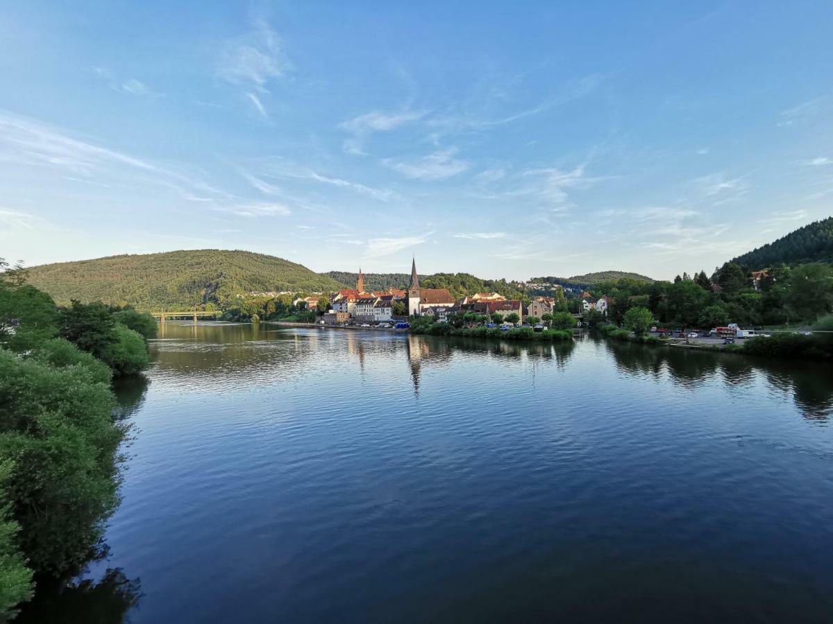 Ferienwohnungen Flussufer - Neckargemuend Altstadt Екстериор снимка